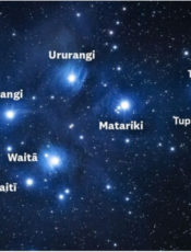 Matariki Shared Kai