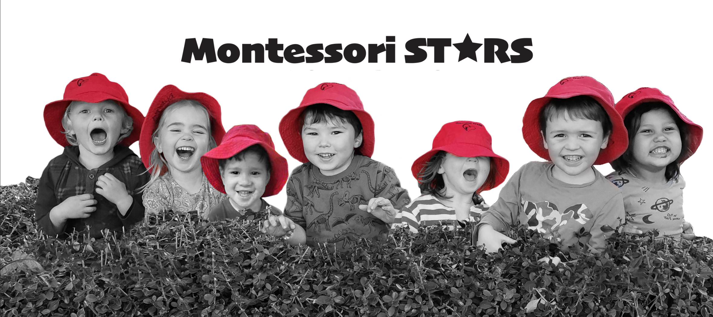 Montessori STARS Home